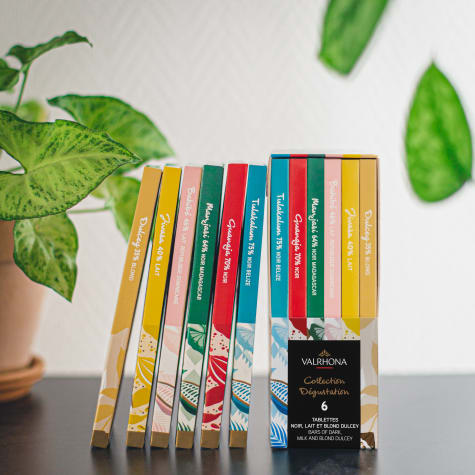 Valrhona Tasting Collection 420 g